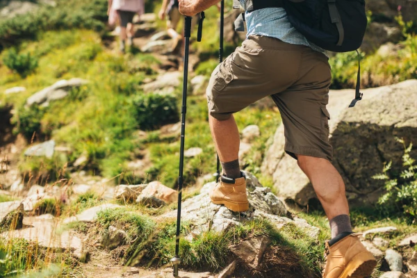 Start Your Journey